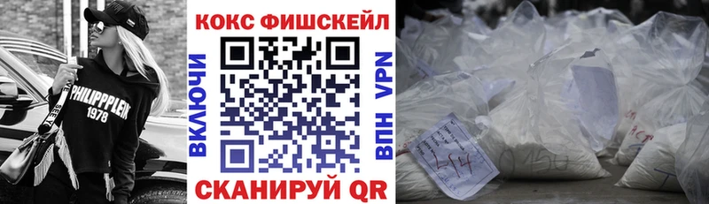 Кокаин Fish Scale  как найти закладки  Гурьевск 