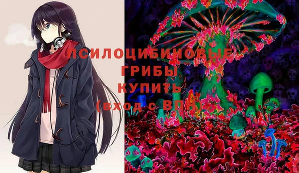 ГАЛЛЮЦИНОГЕННЫЕ ГРИБЫ Бугульма