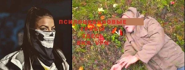 винт Бронницы